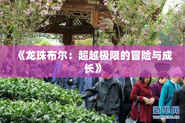 《龙珠布尔：超越极限的冒险与成长》