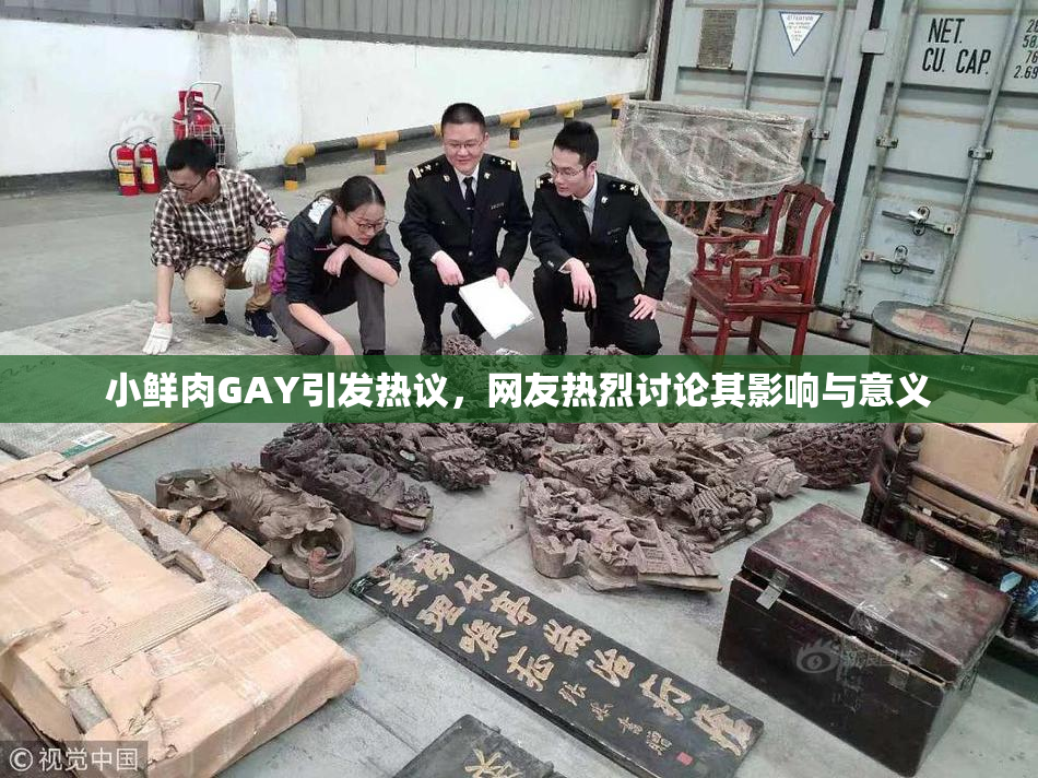 小鲜肉GAY引发热议，网友热烈讨论其影响与意义