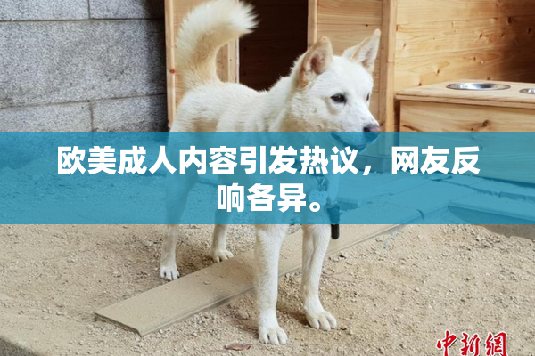欧美成人内容引发热议，网友反响各异。