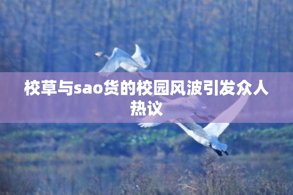 校草与sao货的校园风波引发众人热议