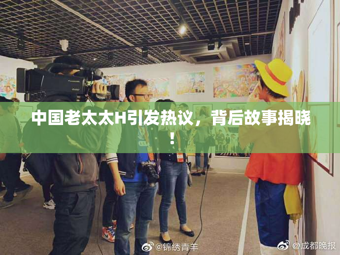 中国老太太H引发热议，背后故事揭晓！