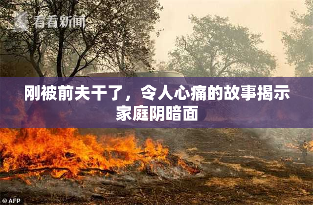 刚被前夫干了，令人心痛的故事揭示家庭阴暗面
