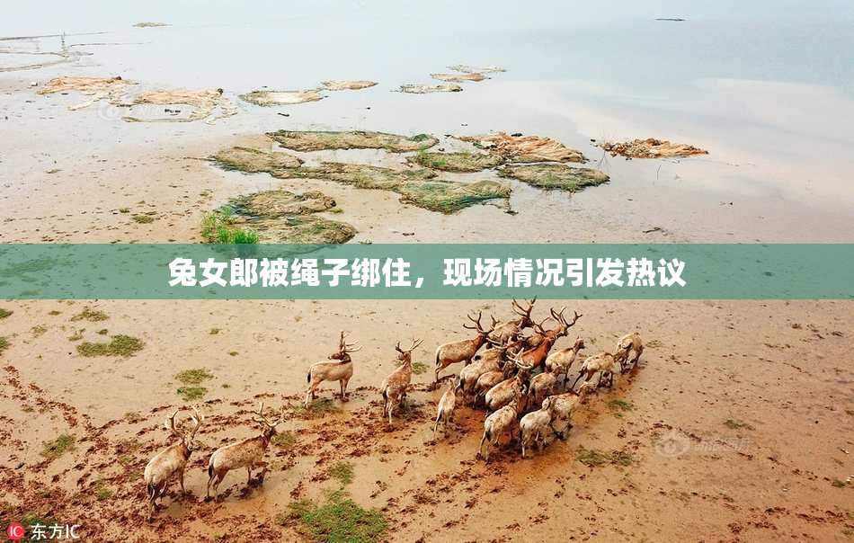 兔女郎被绳子绑住，现场情况引发热议