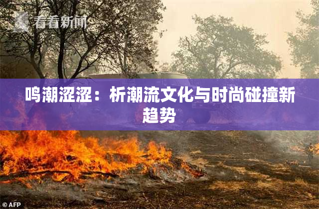 鸣潮涩涩：析潮流文化与时尚碰撞新趋势