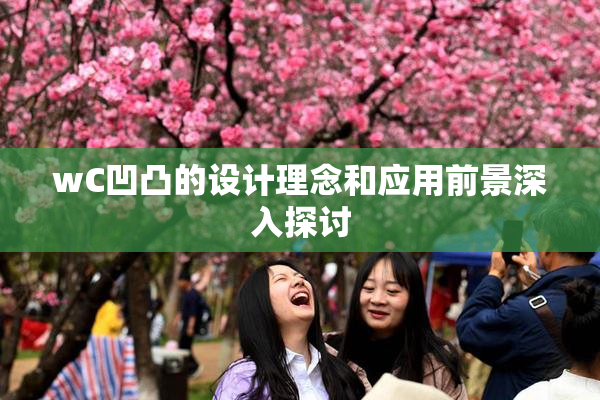 wC凹凸的设计理念和应用前景深入探讨