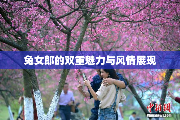 兔女郎的双重魅力与风情展现