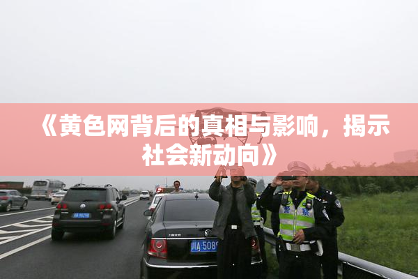 《黄色网背后的真相与影响，揭示社会新动向》