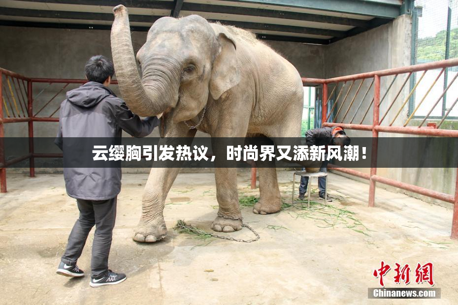 云缨胸引发热议，时尚界又添新风潮！