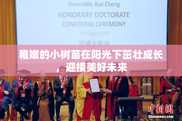 稚嫩的小树苗在阳光下茁壮成长，迎接美好未来