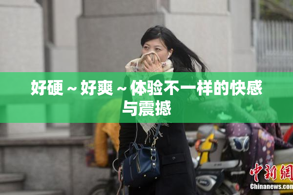 好硬～好爽～体验不一样的快感与震撼