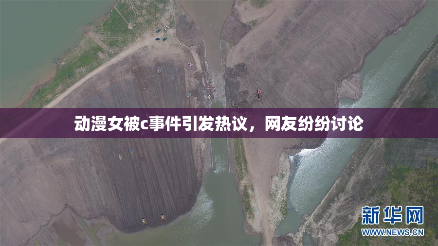 动漫女被c事件引发热议，网友纷纷讨论