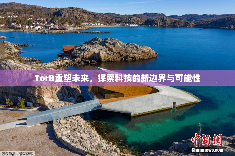 TorB重塑未来，探索科技的新边界与可能性