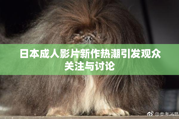 日本成人影片新作热潮引发观众关注与讨论