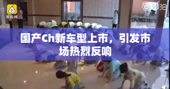 国产Ch新车型上市，引发市场热烈反响