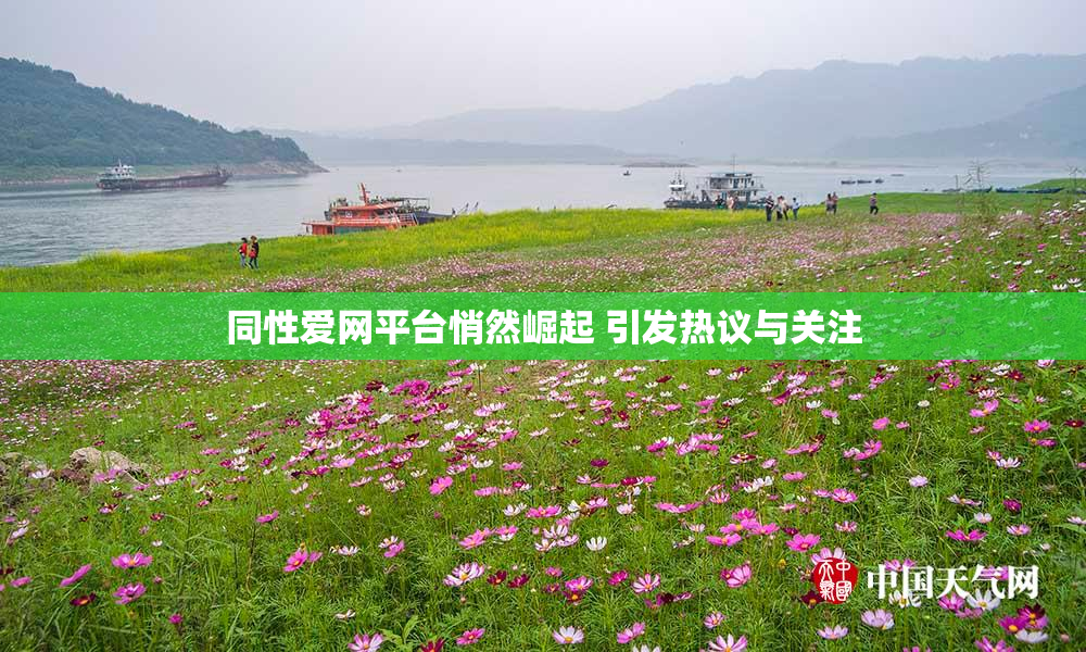 同性爱网平台悄然崛起 引发热议与关注