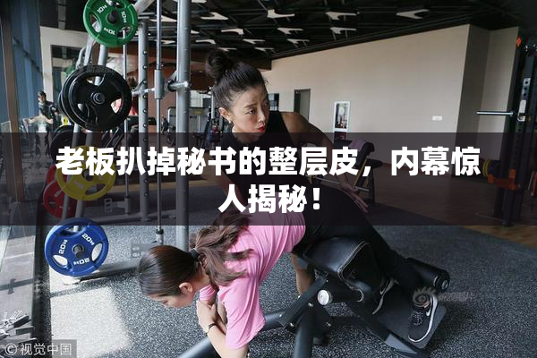 老板扒掉秘书的整层皮，内幕惊人揭秘！