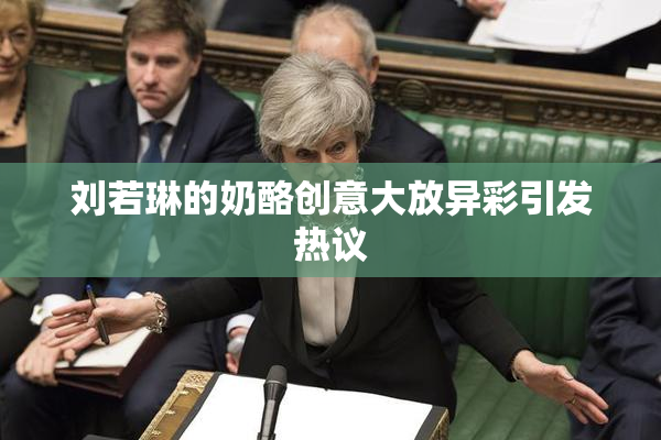 刘若琳的奶酪创意大放异彩引发热议