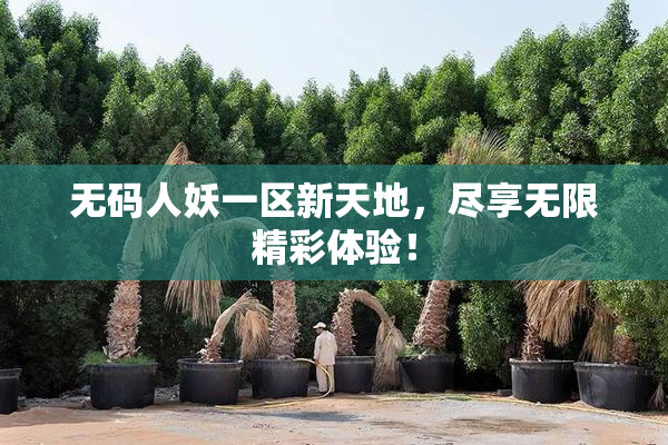 无码人妖一区新天地，尽享无限精彩体验！
