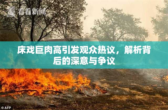 床戏巨肉高引发观众热议，解析背后的深意与争议