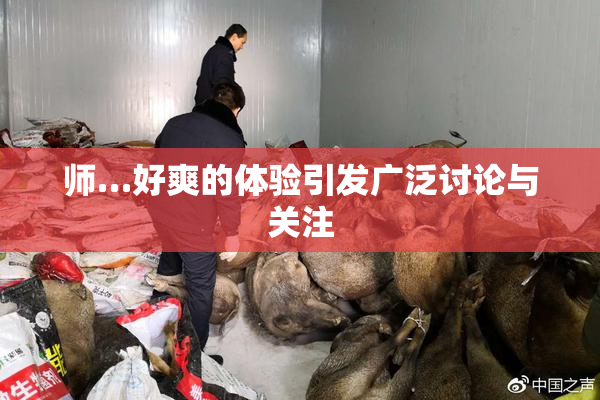 师…好爽的体验引发广泛讨论与关注