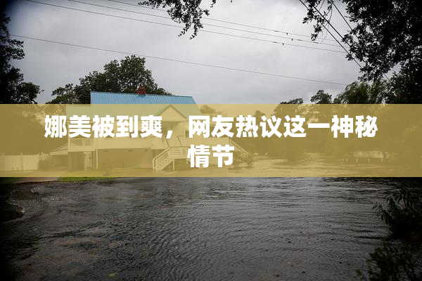 娜美被到爽，网友热议这一神秘情节