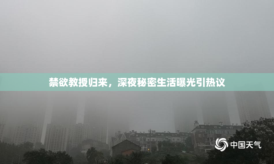 禁欲教授归来，深夜秘密生活曝光引热议