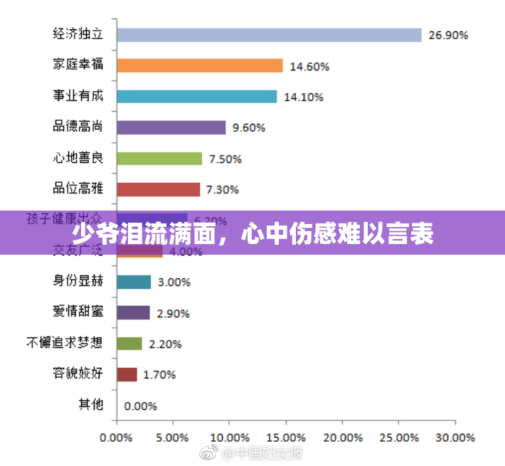 少爷泪流满面，心中伤感难以言表