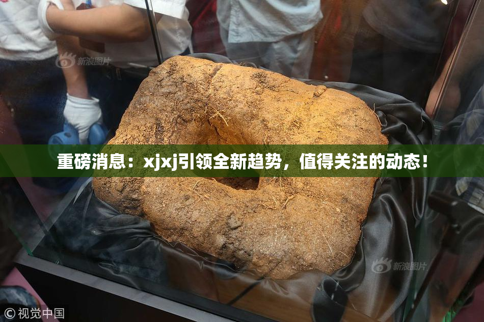 重磅消息：xjxj引领全新趋势，值得关注的动态！