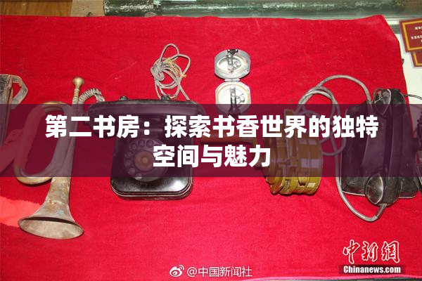 第二书房：探索书香世界的独特空间与魅力