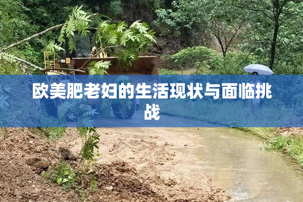 欧美肥老妇的生活现状与面临挑战