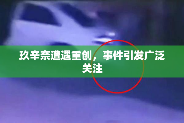 玖辛奈遭遇重创，事件引发广泛关注