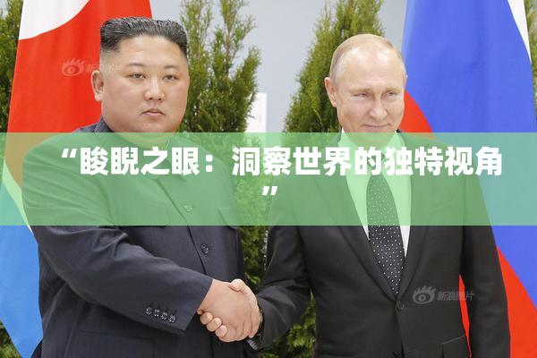 “睃睨之眼：洞察世界的独特视角”