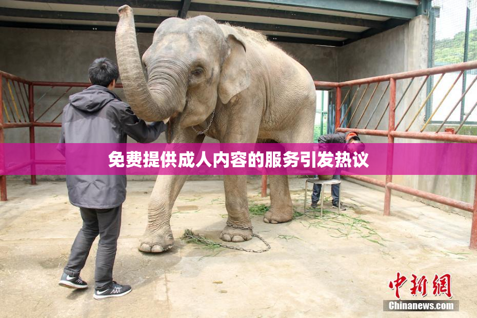 免费提供成人内容的服务引发热议