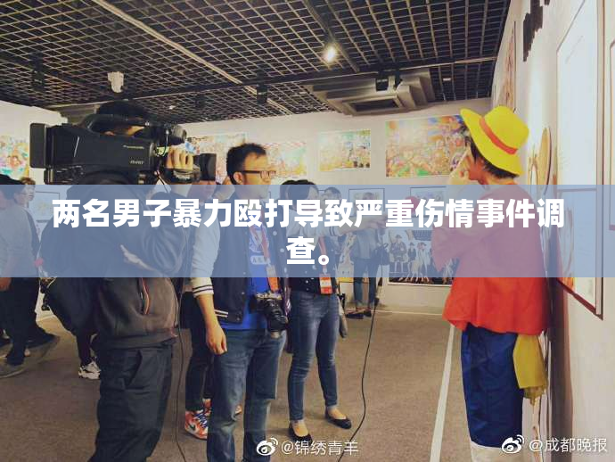 两名男子暴力殴打导致严重伤情事件调查。