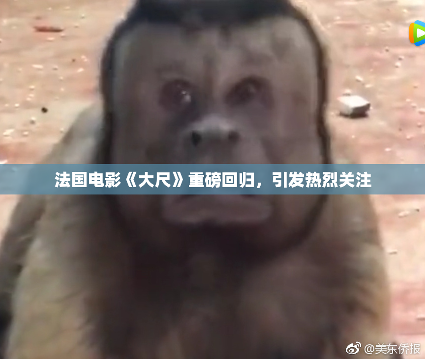 法国电影《大尺》重磅回归，引发热烈关注