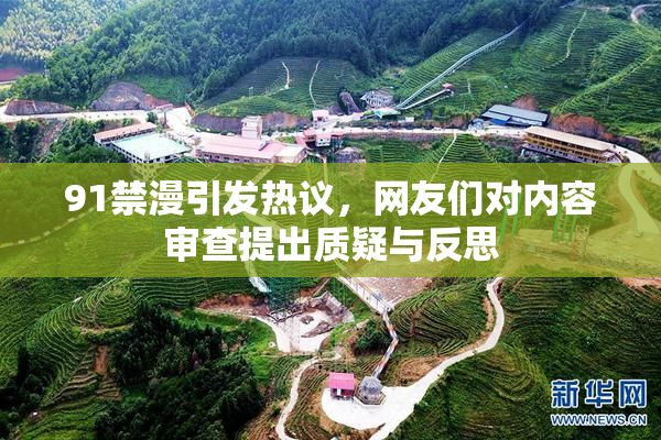 91禁漫引发热议，网友们对内容审查提出质疑与反思