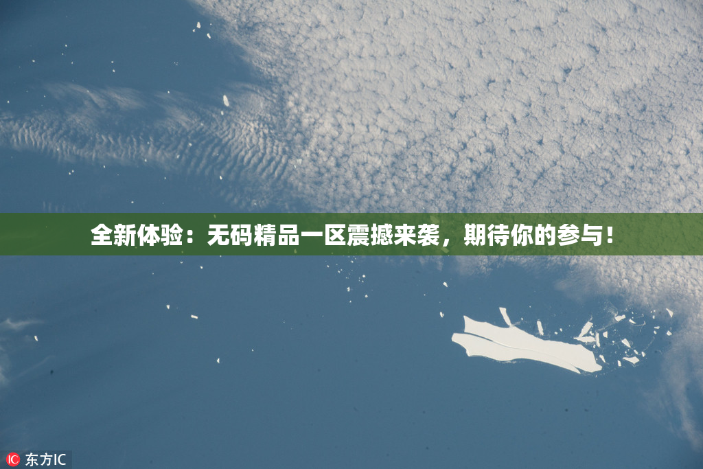 全新体验：无码精品一区震撼来袭，期待你的参与！