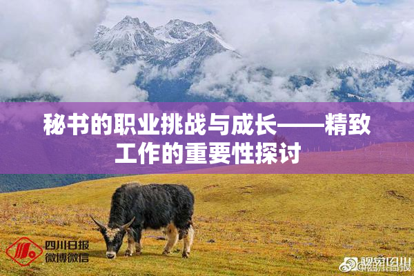 秘书的职业挑战与成长——精致工作的重要性探讨