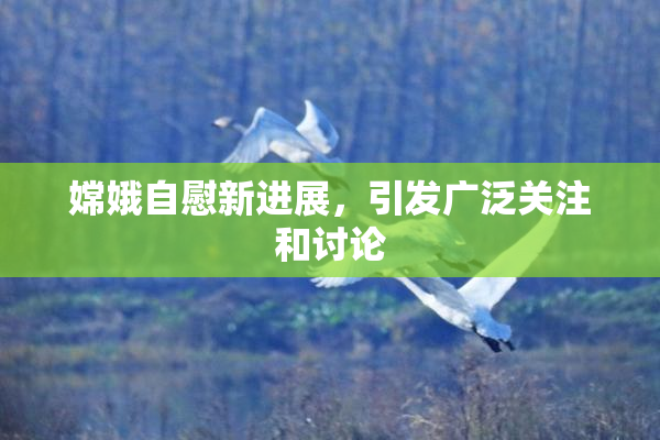 嫦娥自慰新进展，引发广泛关注和讨论
