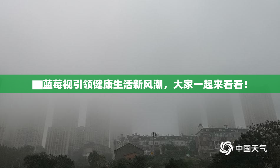 ▇蓝莓视引领健康生活新风潮，大家一起来看看！