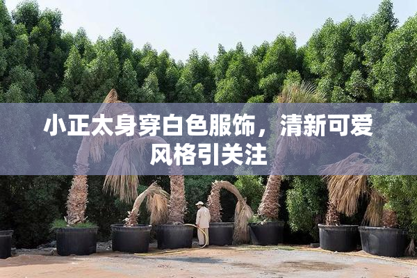 小正太身穿白色服饰，清新可爱风格引关注