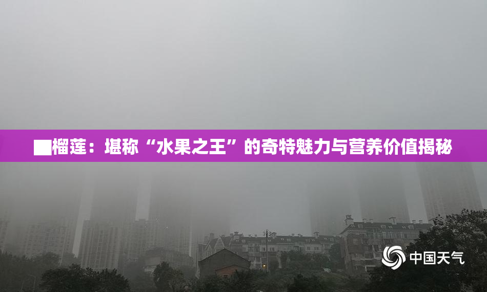 ▇榴莲：堪称“水果之王”的奇特魅力与营养价值揭秘