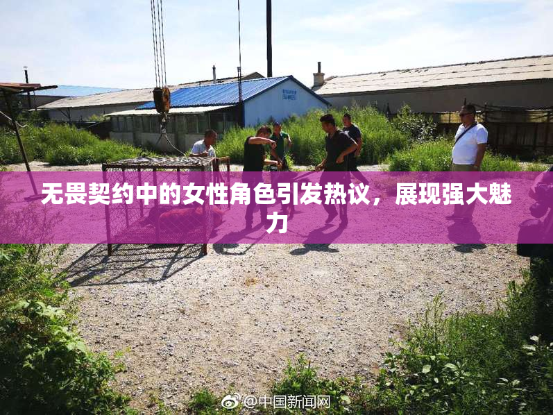 无畏契约中的女性角色引发热议，展现强大魅力
