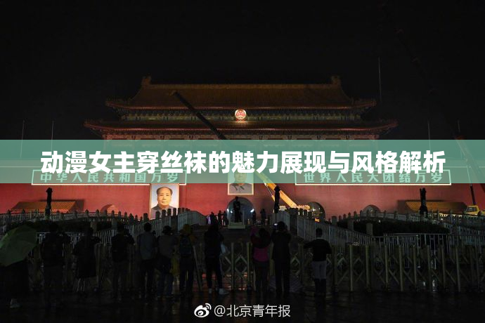 动漫女主穿丝袜的魅力展现与风格解析