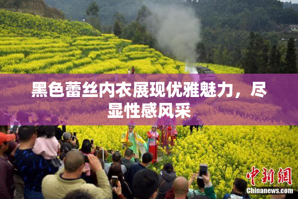 黑色蕾丝内衣展现优雅魅力，尽显性感风采