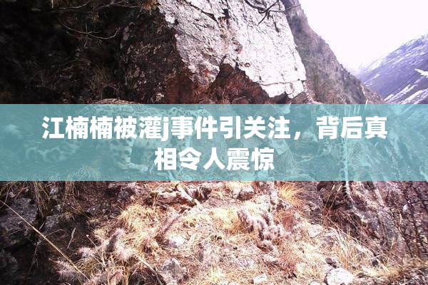 江楠楠被灌j事件引关注，背后真相令人震惊