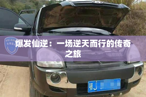 爆发仙逆：一场逆天而行的传奇之旅