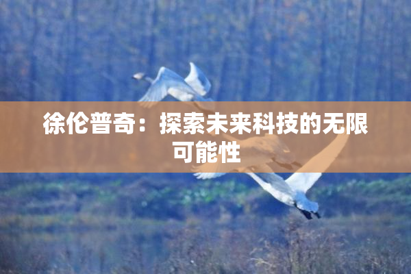 徐伦普奇：探索未来科技的无限可能性