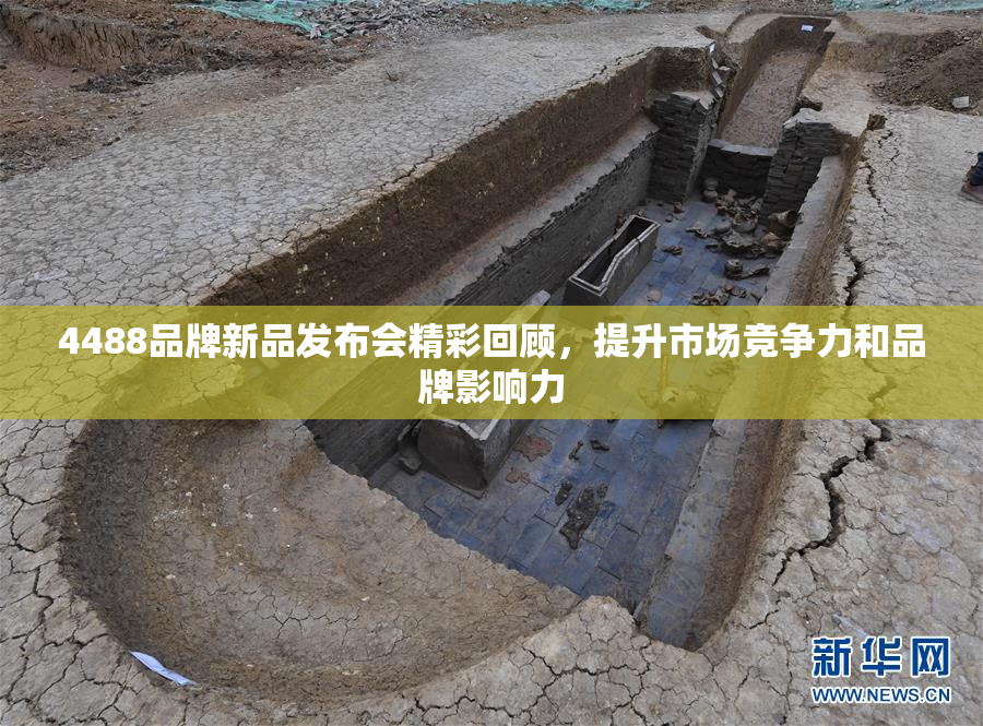 4488品牌新品发布会精彩回顾，提升市场竞争力和品牌影响力
