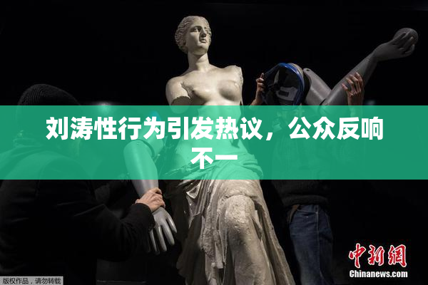 刘涛性行为引发热议，公众反响不一